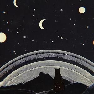 国产一级免费高清AV
