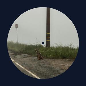 国产一级免费高清AV
