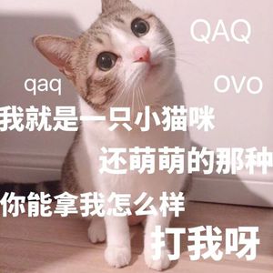 国产一级免费高清AV
