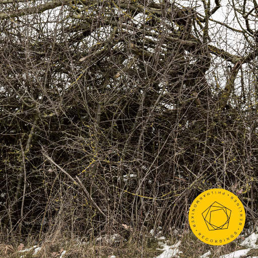 国产一级免费高清AV
